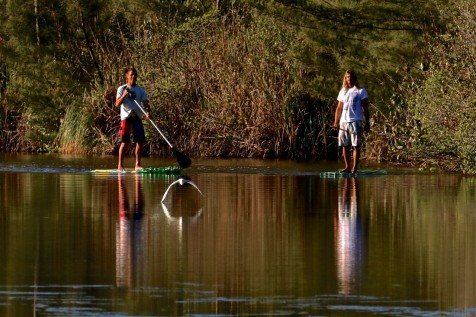 Sup de Garrafas Pet 2 litros até 80 kg